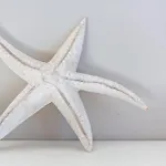 Star Fish Cottage Kalk Bay