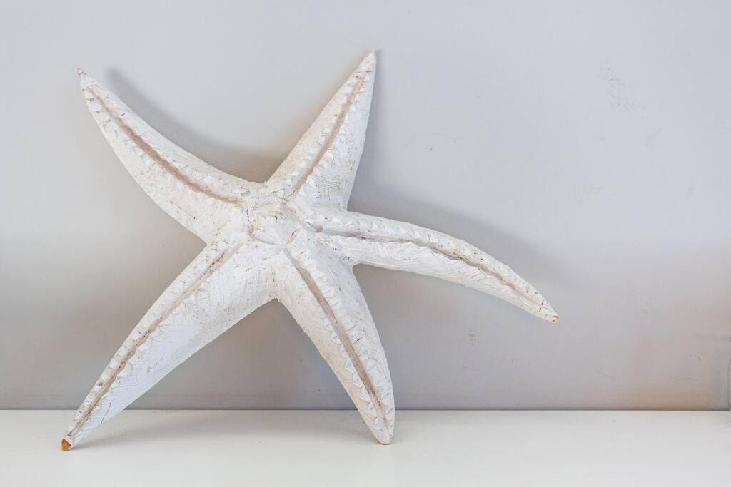 Star Fish Kalk Bay Cape Town