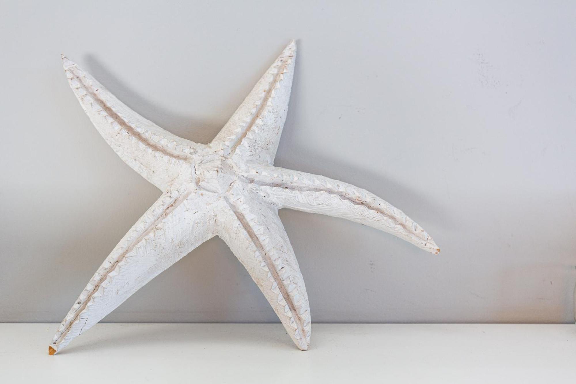 Star Fish Kalk Bay * Cape Town