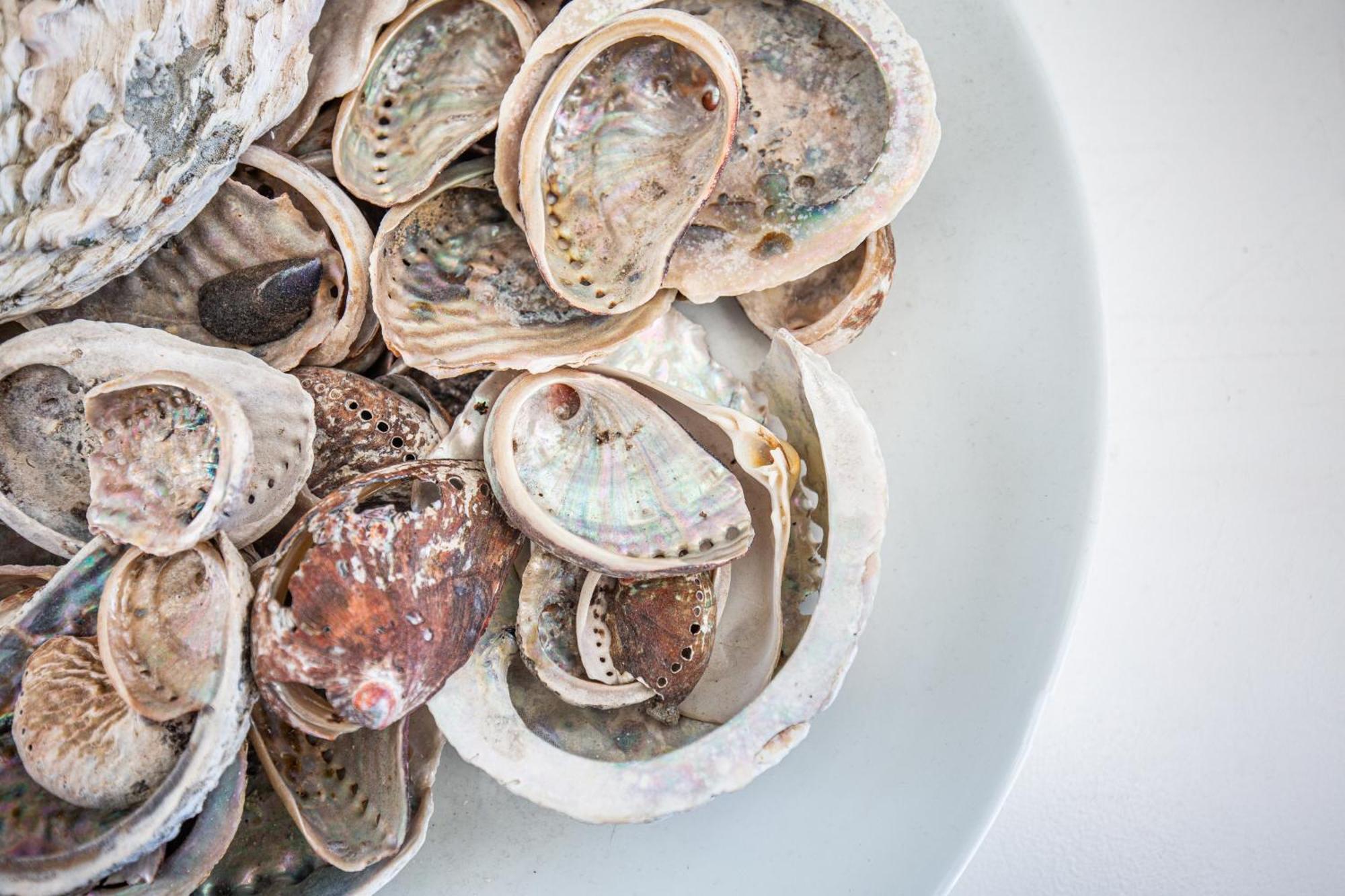 Star Fish Kalk Bay Apartment *